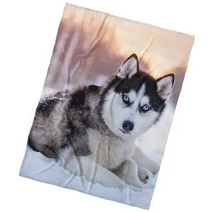BedTex Deka mikroplyš Pes Sibiřský Husky, 150 x 200 cm