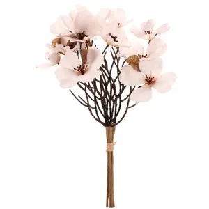 Magnolie bílá, 6 větviček ve svazku, 30 x 43 cm