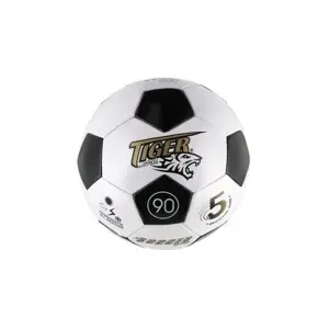 Teddies Fotbalový míč, pr. 23 cm